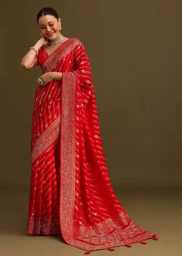 Regal Red Saree – A Timeless Ode to Heritage and Glamour - Image 4