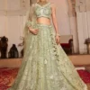 Designer Pista Green Lehenga Choli